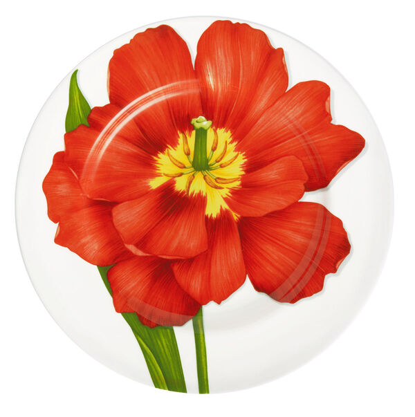 Тарелка обеденная Flower, 27 см, цвет: красный, Freedom