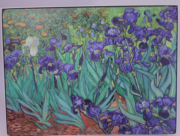 Подставки под горячее 39,6х29,6 см, 4 шт Irises -Ирисы