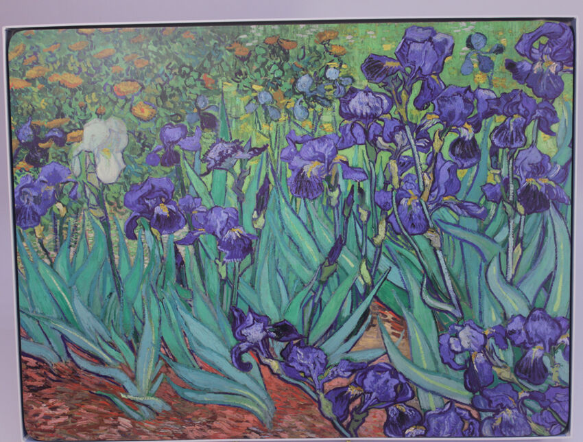 Подставки под горячее 39,6х29,6 см, 4 шт Irises -Ирисы - фото 1