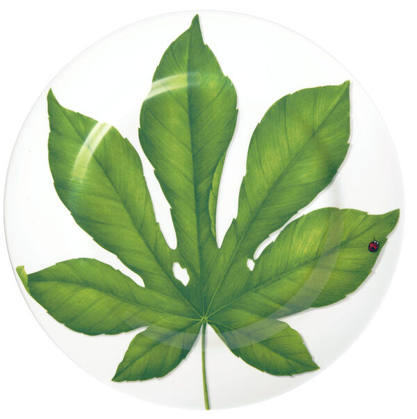 Блюдо сервировочное Leaf, 31,5 см, Freedom, Taitu