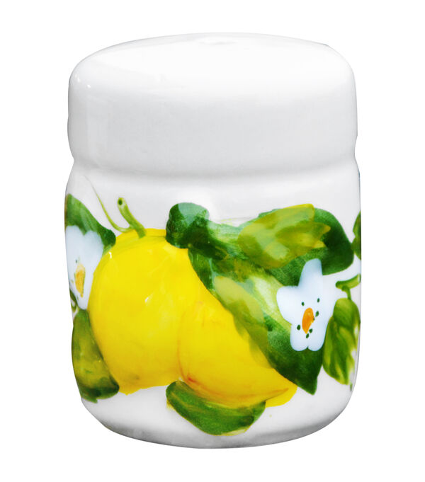 Набор для соли и перца Лимоны и цветы h6 см,  керамика, Edelweiss