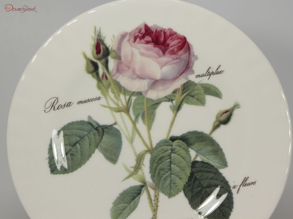 Тарелка "Роза Редаут" 20,5 см - фото 2