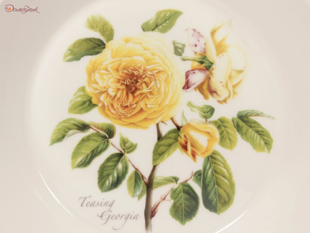 Тарелка суповая "Ботанический сад. Розы. Teasing Georgia" 21,5 см - фото 3