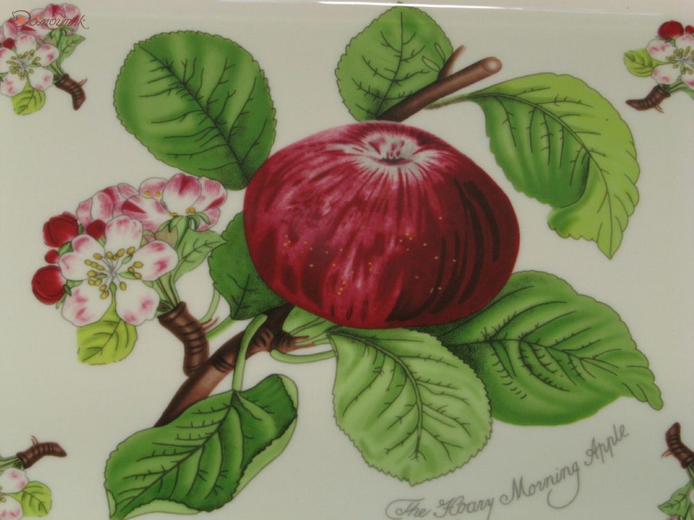 Блюдо для лазаньи "Pomona Красное яблоко" 31х24,5 см - фото 5