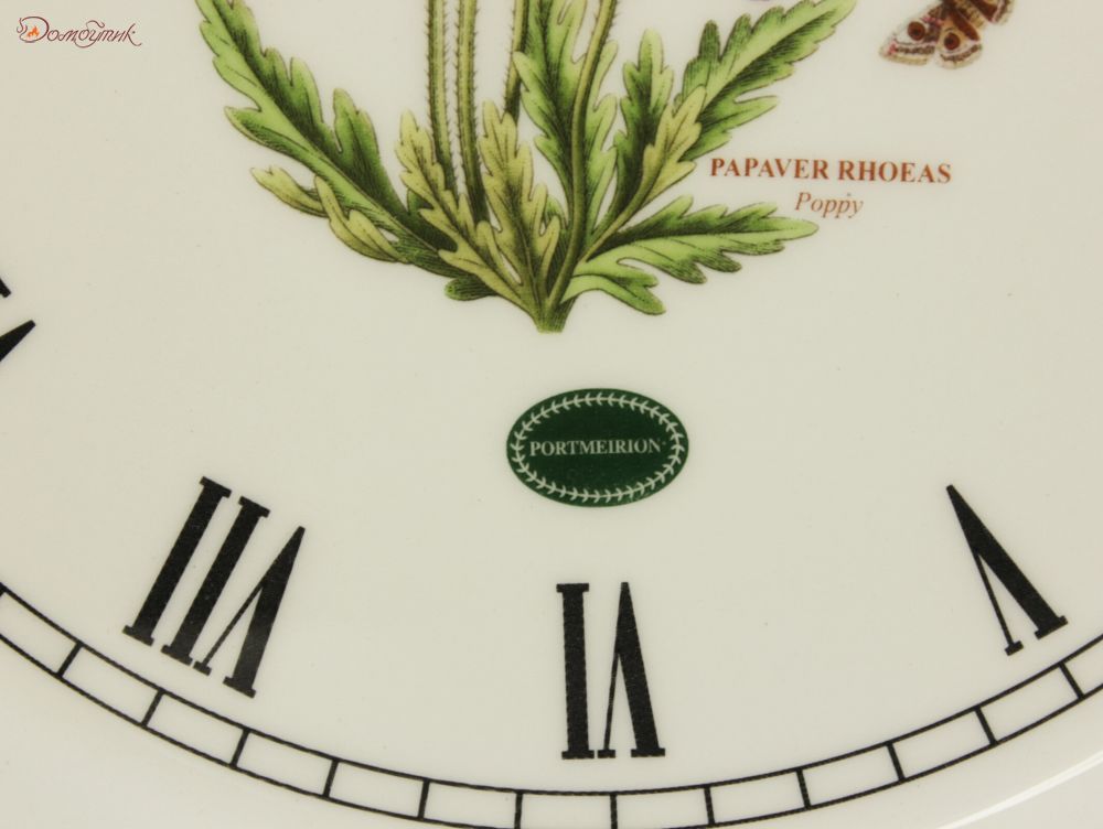Ботаника часы работы. Ботаника часы. Ботаник часы. Ботаника за час.