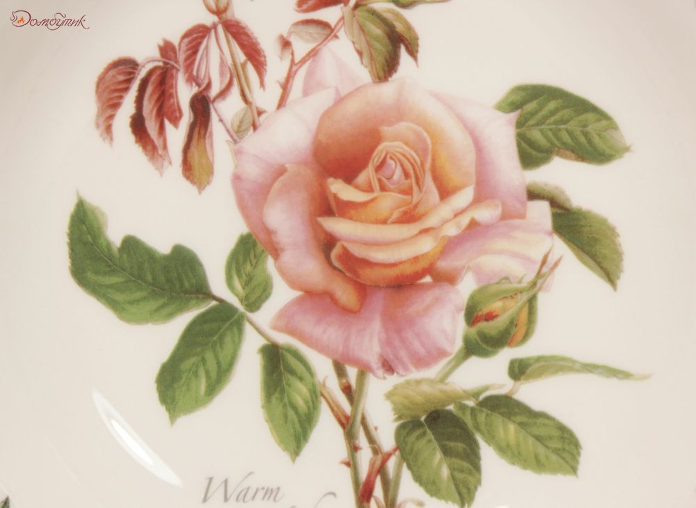 Тарелка для пасты "Ботанический сад. Розы. Warm Wishes" 22 см - фото 4