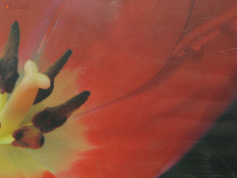 Средние подставки под горячее "Ночные тюльпаны", 6 шт. - фото 3