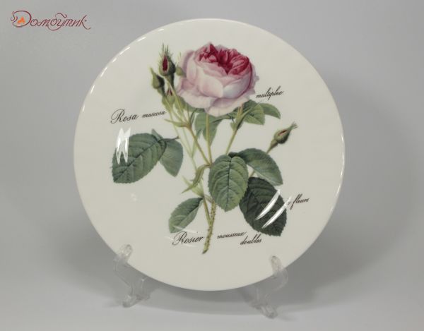 Тарелка "Роза Редаут" 20,5 см