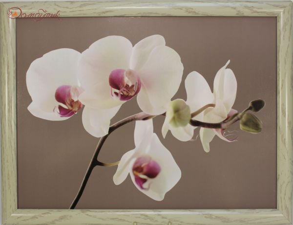 Поднос-подушка "Гармония орхидей"