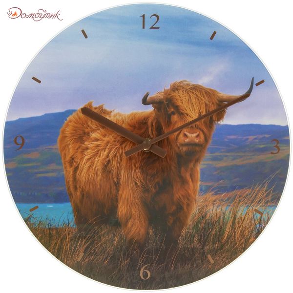 Часы настенные "Шотландский бык" D 30 см