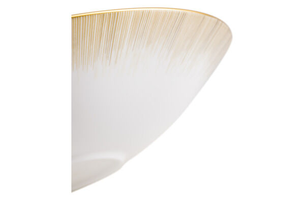 Тарелка суповая Narumi Сверкающее Золото 23 см, фарфор костяной - фото 5