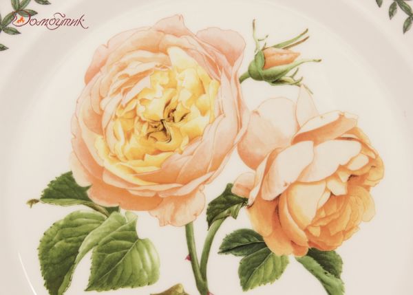 Тарелка обеденная "Ботанический сад. Розы. Tamora Peach" 26,5 см - фото 2
