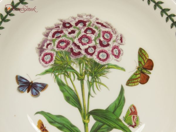 Тарелка для пасты "Botanic Garden Гвоздика турецкая" 22 см - фото 3