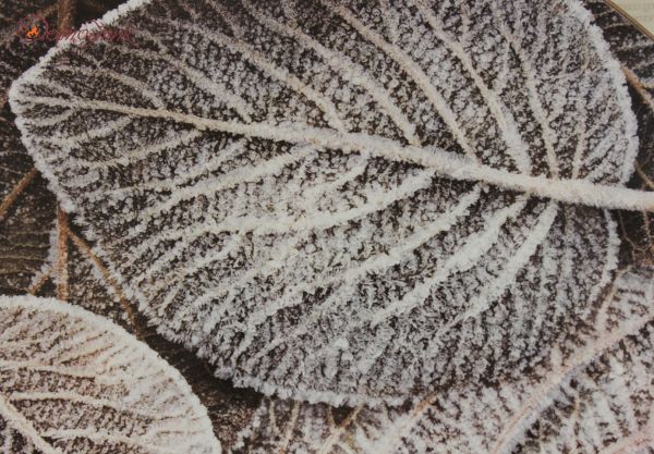 Средние круглые подставки под горячее "Морозная листва", 4 шт. - фото 2
