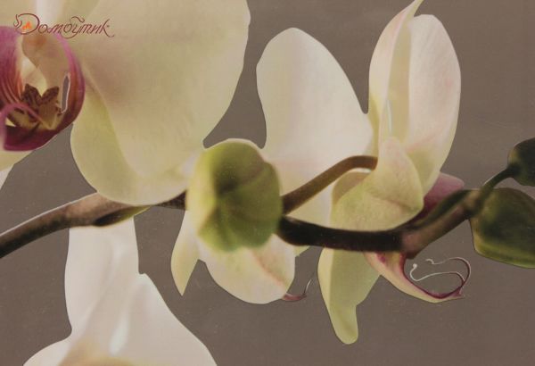 Средние подставки под горячее "Гармония орхидей", 6 шт. - фото 3