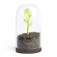 Контейнер для сыпучих продуктов Sprout Jar - фото 1