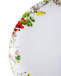 Сервиз чайный Rosenthal Дикие цветы на 6 персон 21 предмет №2, фарфор костяной - фото 5