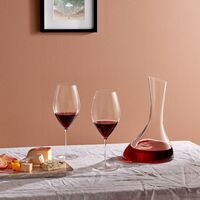 Декантер для вина Вини, хрусталь, Nude Glass - фото 2