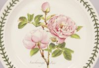 Тарелка закусочная "Ботанический сад. Розы. Scarborough Fair" 21,5 см - фото 2