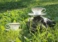 Чайный сервиз "Фиджи" на 6 персон (15 предметов) - фото 2