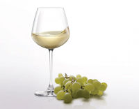  Набор бокалов для белого вина Lucaris 485мл 6шт - фото 4